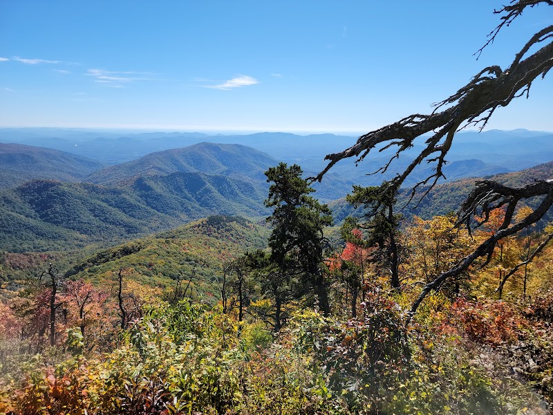 Scenic Vistas at Green Knob Overlook - Green Knob Overlook