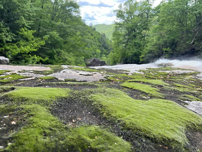 Waterfall Wonder Near Asheville: Windy Falls - Windy Falls