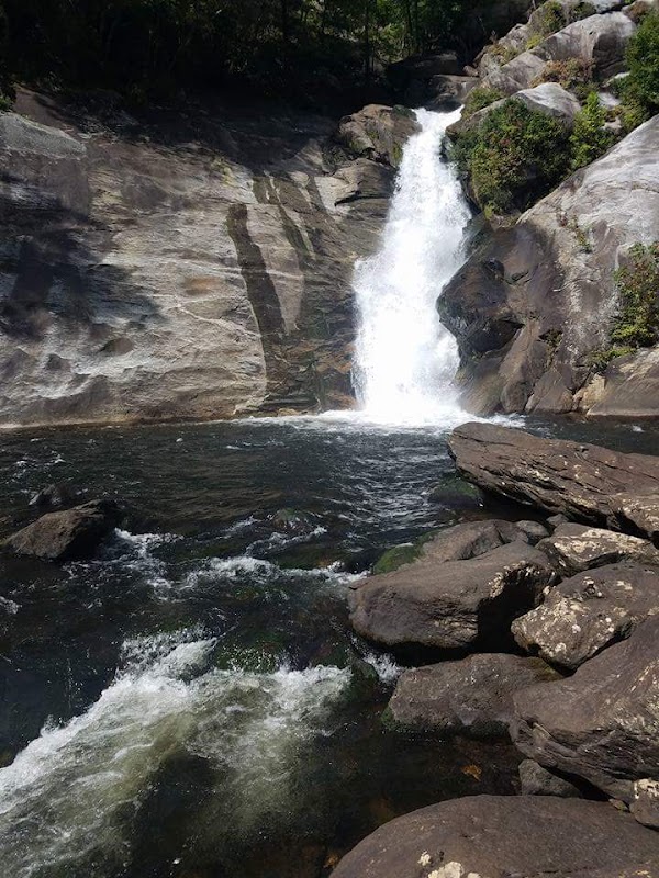 Waterfall Wonder Near Asheville: Windy Falls - Windy Falls