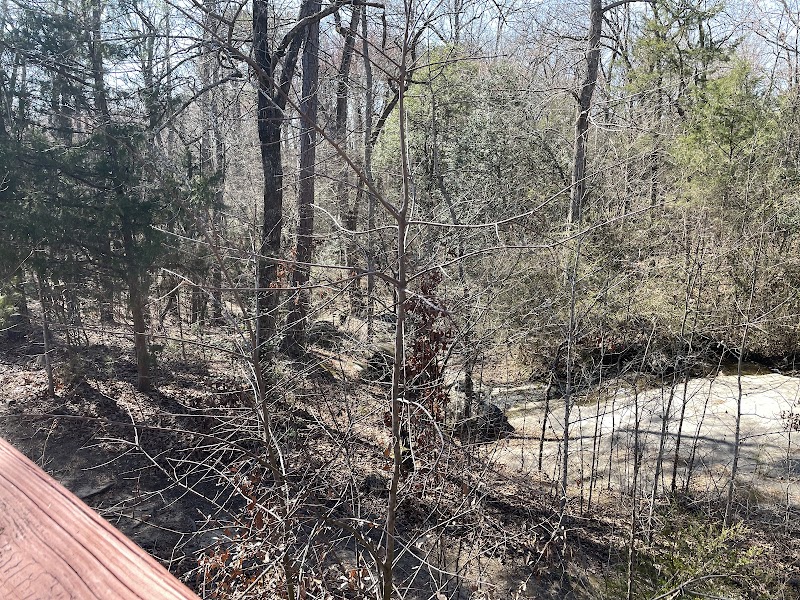 Waterfall Wonder at Rocky Falls Park in Wendell, NC - Rocky Falls Park