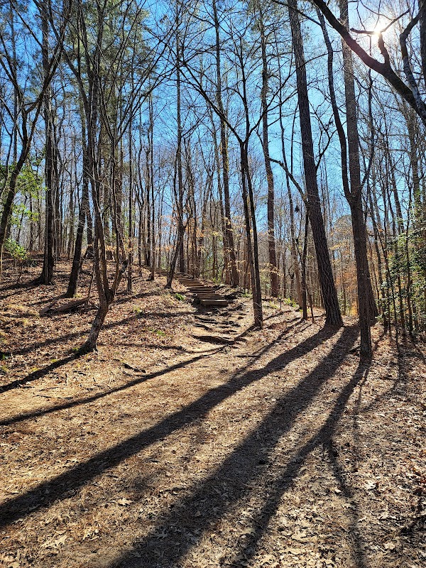 Lanier Falls: Scenic Waterfall Escape Near Broadway, North Carolina - Lanier Falls