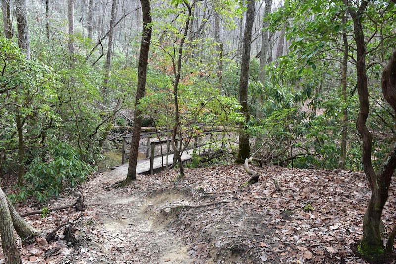 Waterfall Delight at Yellow Branch Falls Trail, Walhalla, SC - Yellow Branch Falls Trail