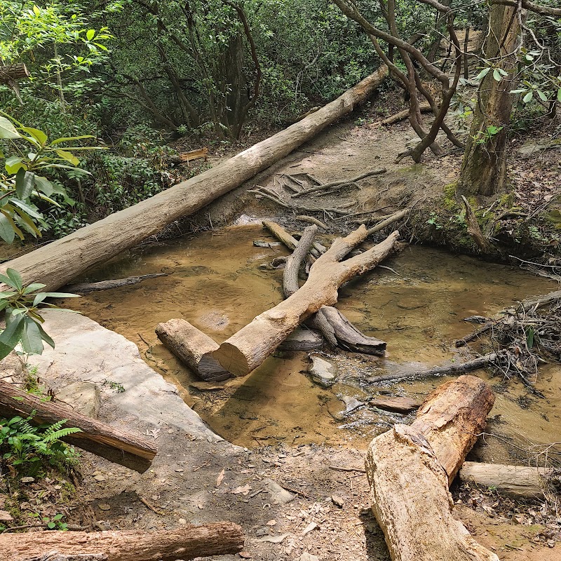 Waterfall Delight at Yellow Branch Falls Trail, Walhalla, SC surrounding landscape