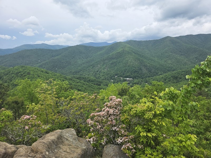 Hiking Lookout Mountain Trail Head near Black Mountain, NC outdoor detail