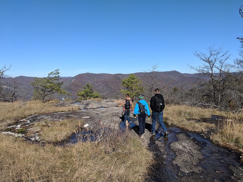 Waterfall Wonders Near Pickens: Pinnacle Mountain Falls surrounding landscape