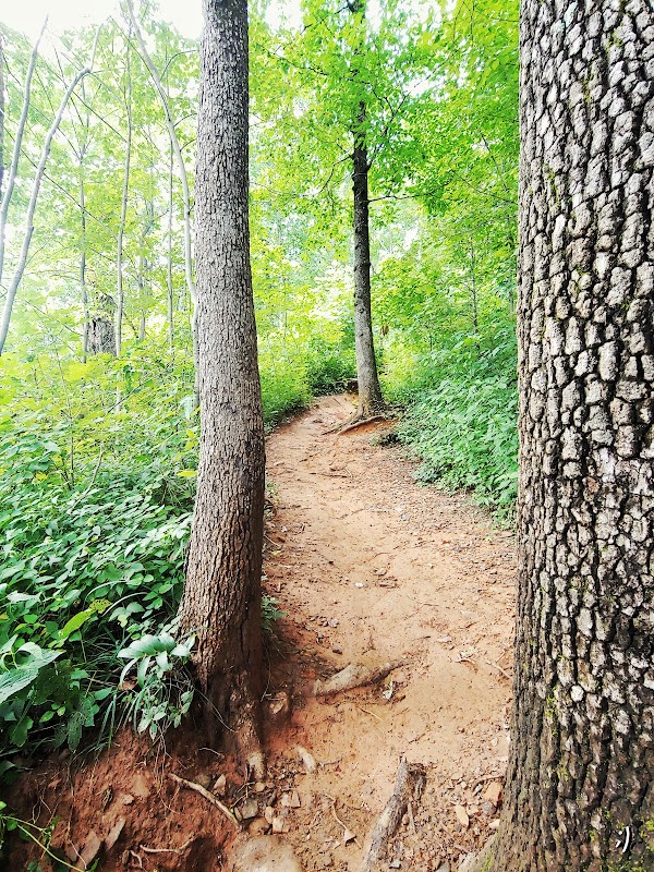 Waterfall Wonders Near Pickens: Pinnacle Mountain Falls outdoor detail