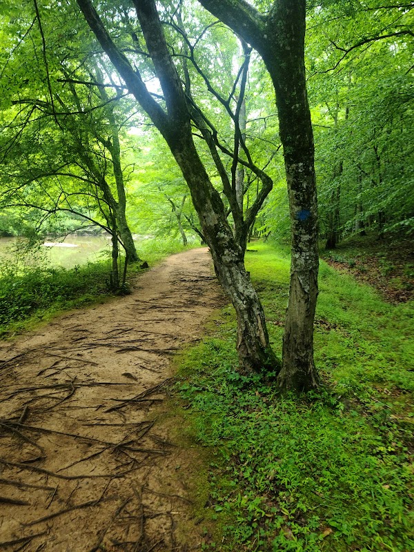 Refreshing Nature and Streamside Views at Cox Mountain Trailhead in Durham, NC outdoor detail