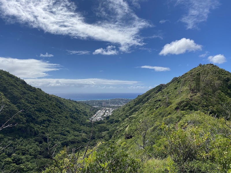 Scenic Ridge Hiking at Mauʻumae Ridge Trail (Puʻu Lanipō) in Honolulu - Mauʻumae Ridge Trail (Puʻu Lanipō)
