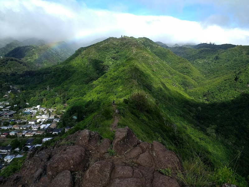 Scenic Ridge Hiking at Mauʻumae Ridge Trail (Puʻu Lanipō) in Honolulu - Mauʻumae Ridge Trail (Puʻu Lanipō)