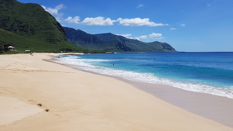 Coastal Wilderness & Wildlife at Kaʻena Point State Park - Kaʻena Point State Park