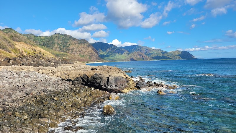 Coastal Wilderness & Wildlife at Kaʻena Point State Park - Kaʻena Point State Park