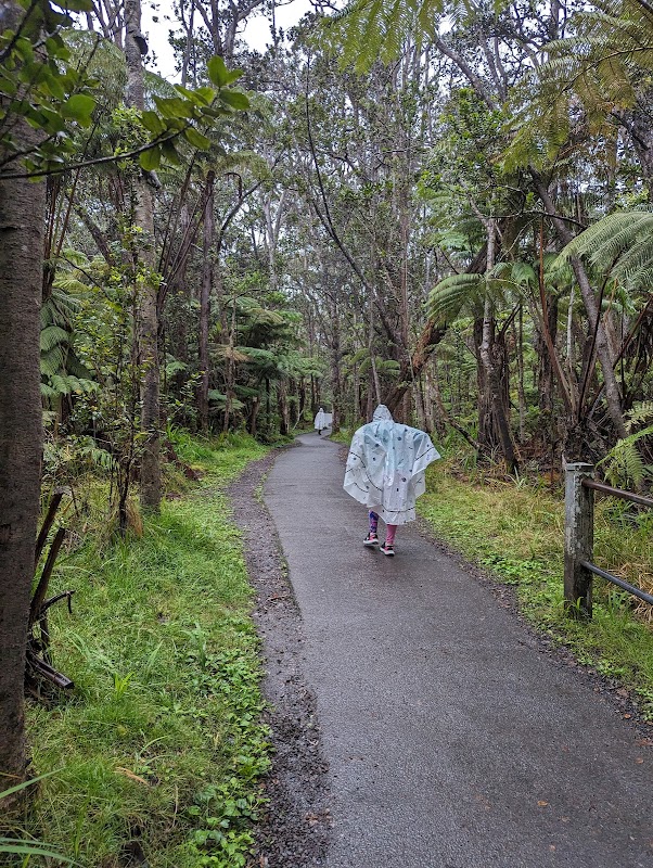 Volcanic Hiking Adventure at Kīlauea Iki Trailhead - Kīlauea Iki Trailhead