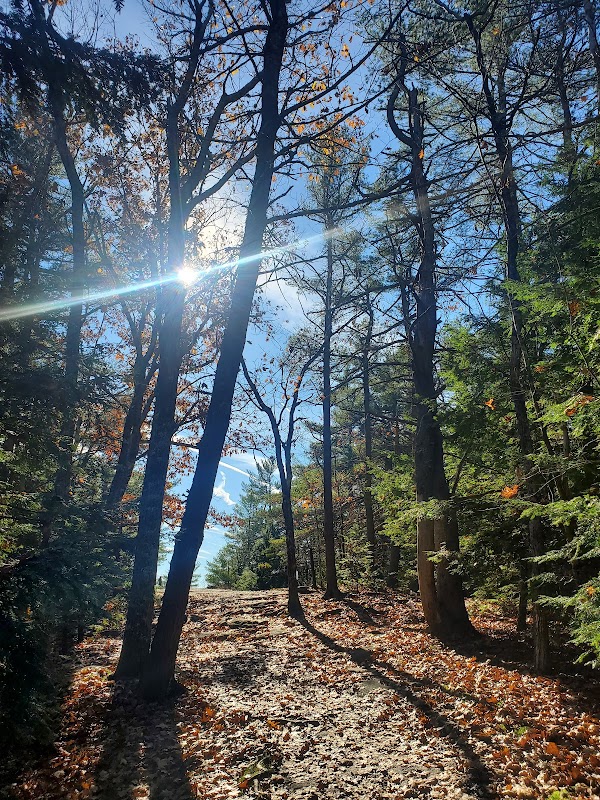 Scenic Hiking and Panoramic Views at Bradbury Mountain State Park surrounding landscape