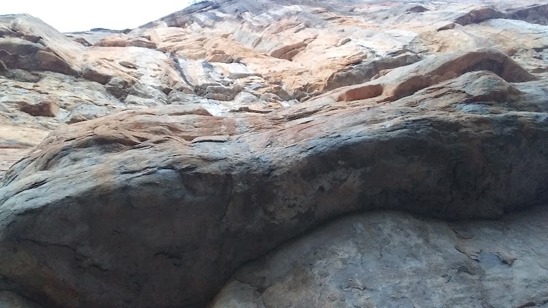 Cliffside Wonders at Painted Bluff, Alabama - Painted Bluff