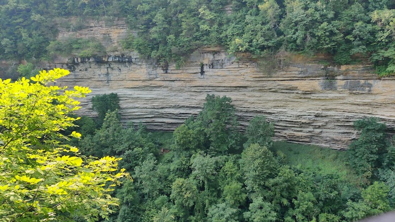 Waterfall Wonder: Fall Creek Falls Overlook Tennessee surrounding landscape
