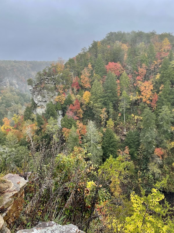 Waterfall Wonder: Fall Creek Falls Overlook Tennessee - Fall Creek Falls Overlook