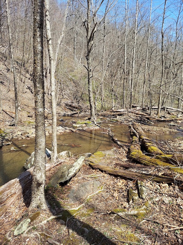 Waterfall & Trail at Jones Run Falls near Crozet, VA surrounding landscape