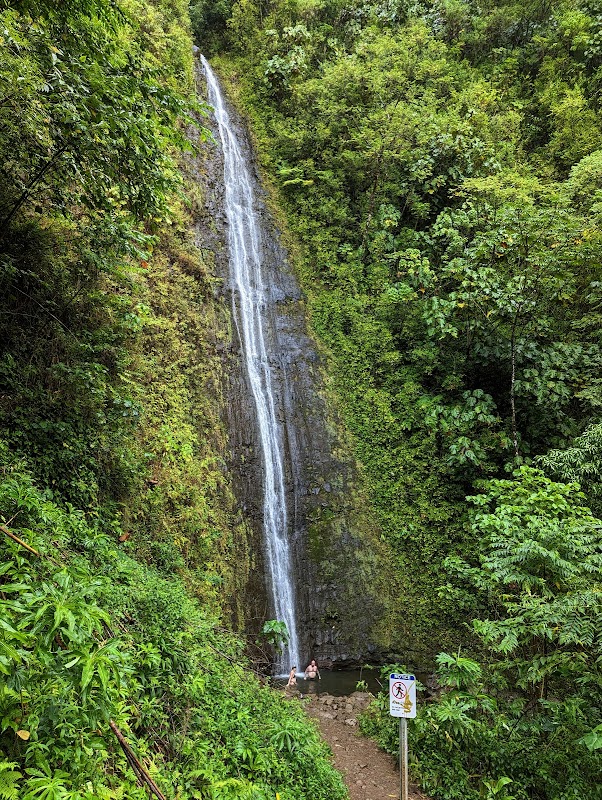 Waterfall Wonder: Manoa Falls in Honolulu - Manoa Falls