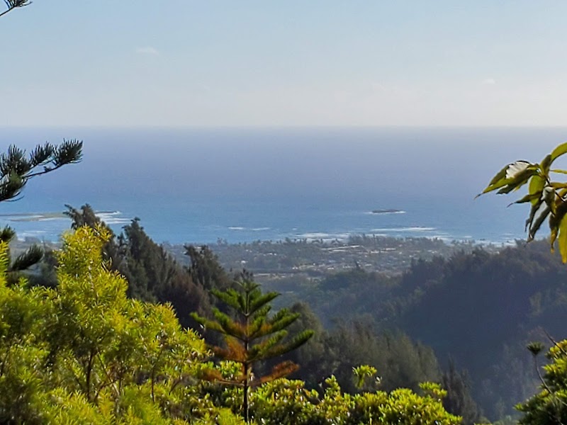 Lāʻie Falls Trail - Waterfall Adventure in Laie, Hawaii - Lāʻie Falls Trail