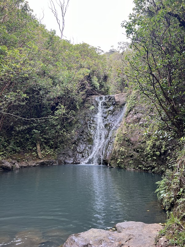 Lāʻie Falls Trail - Waterfall Adventure in Laie, Hawaii - Lāʻie Falls Trail