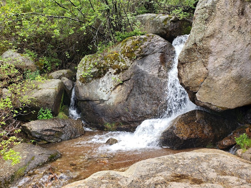Waterfall and Wilderness at Catamount Trailhead - Catamount Trailhead