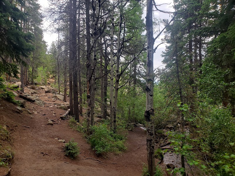 Waterfall and Woods at Maxwell Falls Trailhead, Conifer, CO surrounding landscape
