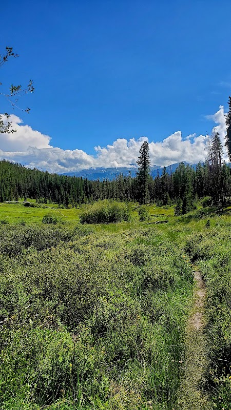 Hiking at Colorado Trail Trailhead near Breckenridge - Colorado Trail Trailhead