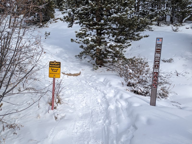Hiking at Colorado Trail Trailhead near Breckenridge surrounding landscape