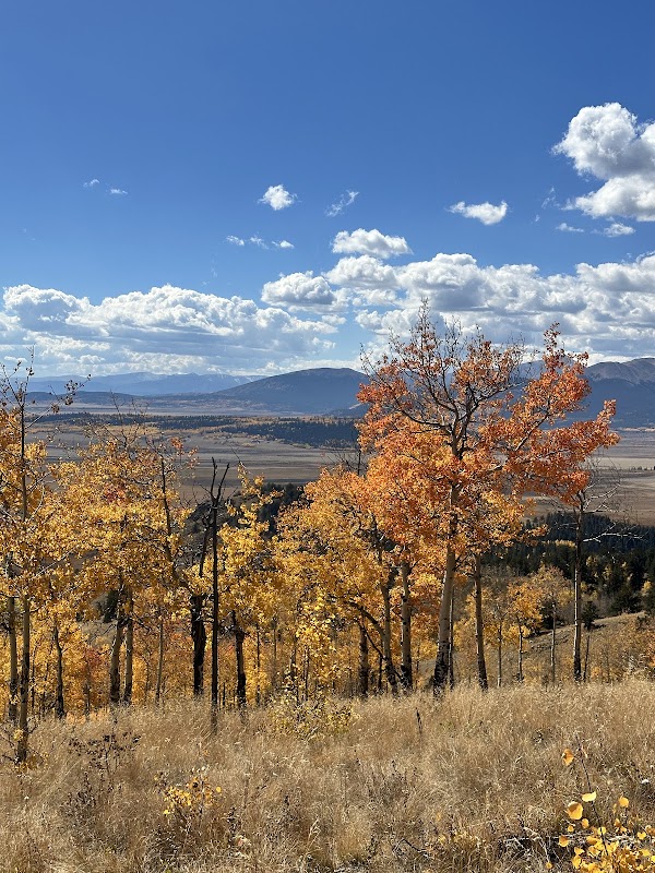 Hiking Through Colorado Trail (Segment 6) near Breckenridge - Colorado Trail (Segment 6)