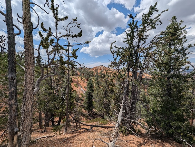 Striking Desert Terrain at Thunder Mountain Trailhead, Utah - Thunder Mountain Trailhead