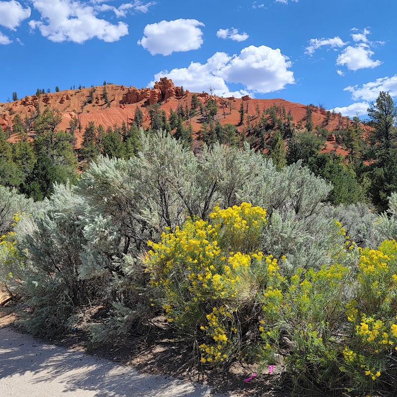 Striking Desert Terrain at Thunder Mountain Trailhead, Utah outdoor detail