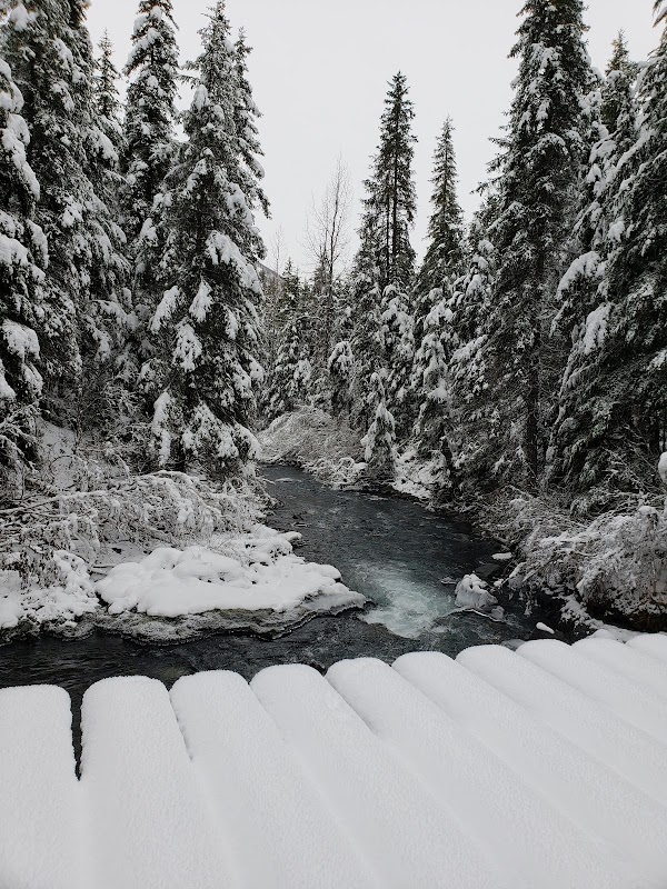 Waterfall and Creek Adventure at Upper Winner Creek Trail, Girdwood, Alaska - Upper Winner Creek Trail