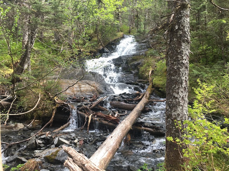 Scenic Waterfall and Forest Trail near Whittier, Alaska - Emerald Cove Trail