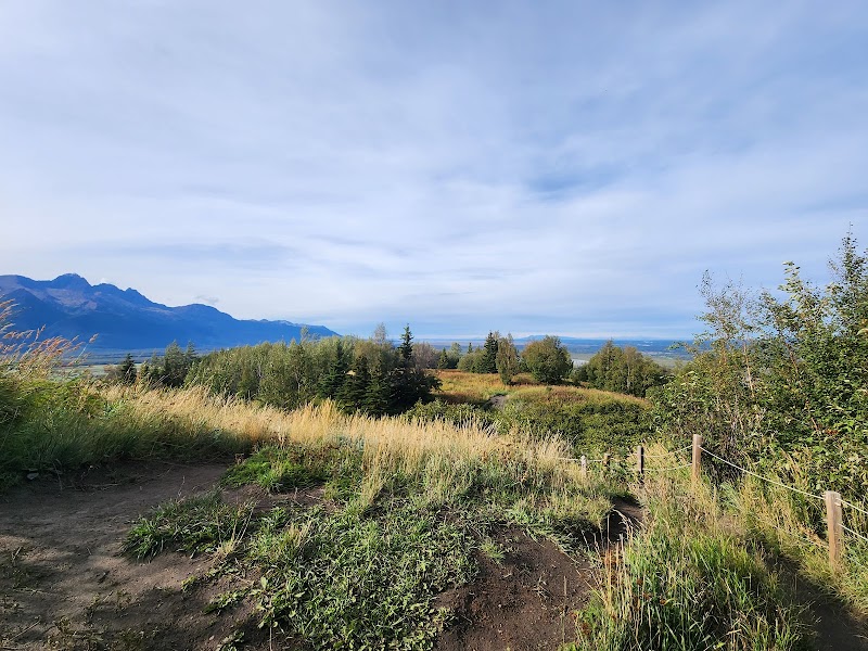 Scenic Hiking at Butte Summit near Palmer, Alaska - Butte summit