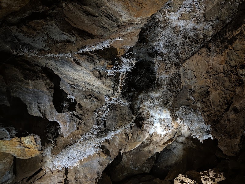 Underground Wonders at Black Chasm Cavern near Volcano, CA surrounding landscape