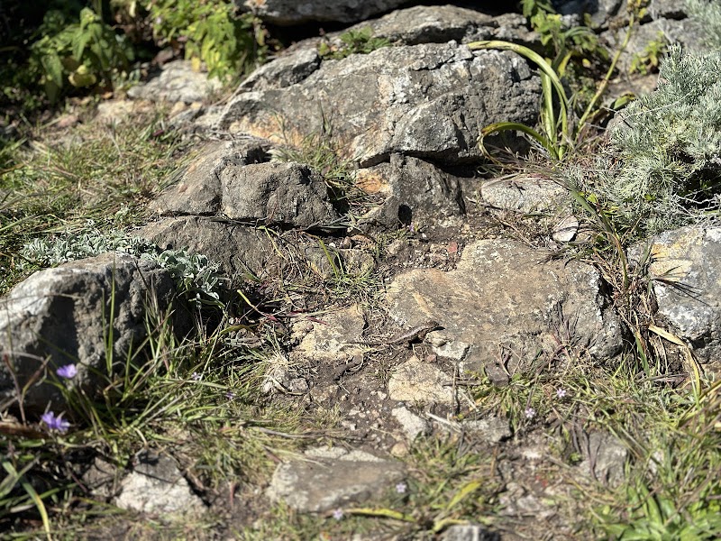 Coastal Wonders at Kasler Point, Monterey - Kasler Point