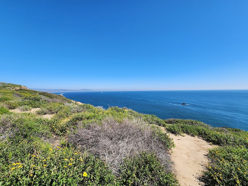 Coastal Nature at Dana Point Preserve - Dana Point Preserve