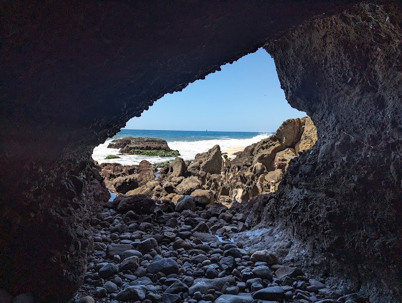 Coastal Nature at Dana Point Preserve - Dana Point Preserve