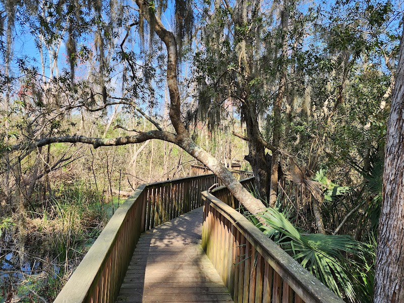 Natural Wonders of Sea Pines Forest Preserve on Hilton Head Island - Sea Pines Forest Preserve