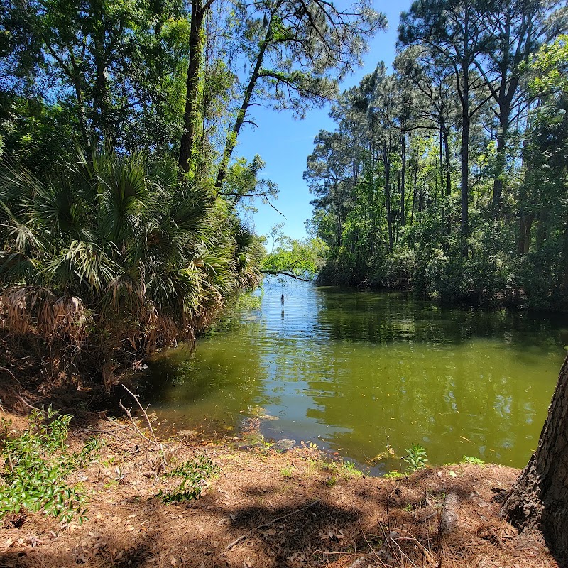 Natural Wonders of Sea Pines Forest Preserve on Hilton Head Island - Sea Pines Forest Preserve
