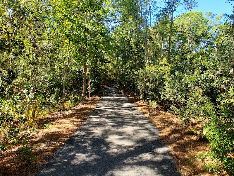 Natural Wonders of Sea Pines Forest Preserve on Hilton Head Island outdoor detail