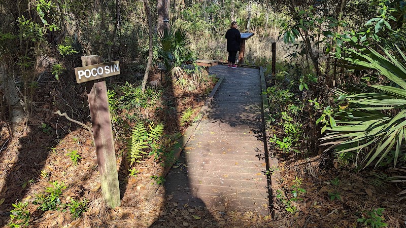Nature & Wildlife Haven at Audubon Newhall Preserve, Hilton Head Island surrounding landscape
