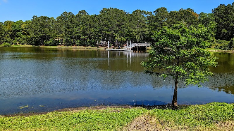 Serene Natural Beauty at Jarvis Creek Park, Hilton Head Island - Jarvis Creek Park