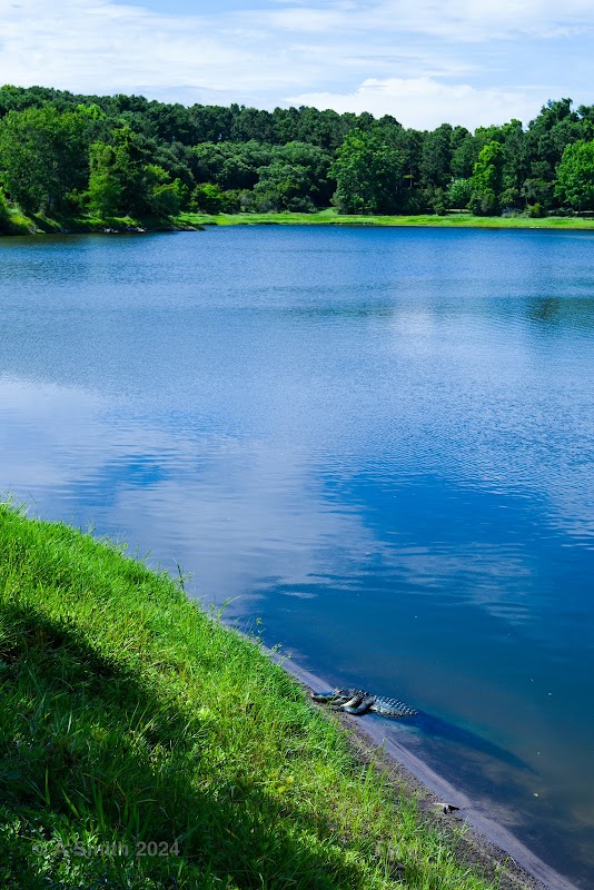 Nature Trail & Fitness Path at Jarvis Creek, Hilton Head Island - Jarvis Creek Fitness Trail