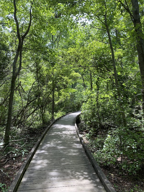 Jarvis Creek Park adventures
