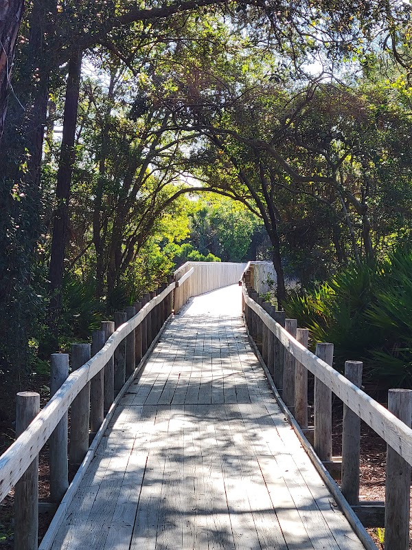Coastal Serenity at Driessen Beach Park, Hilton Head Island surrounding landscape