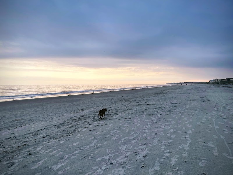 Coastal Serenity at Folly Field Beach Park, Hilton Head Island - Folly Field Beach Park