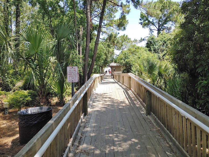 Coastal Serenity at Folly Field Beach Park, Hilton Head Island - Folly Field Beach Park
