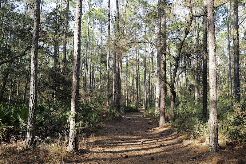 Nature Walks & Wildlife at Victoria Bluff Heritage Preserve outdoor detail