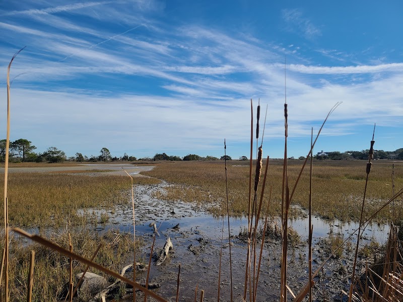 Historic Mitchelville Freedom Park – A Living Legacy in Hilton Head, SC - Historic Mitchelville Freedom Park